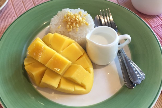 Mango sticky rice